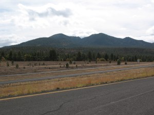 West of Williams on 66